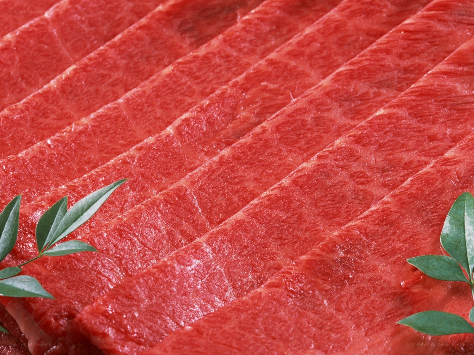 Fresh tuna slices with garnish