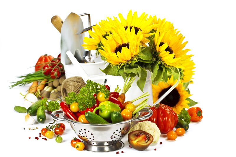 Fresh Vegetables and Sunflowers — Yellow