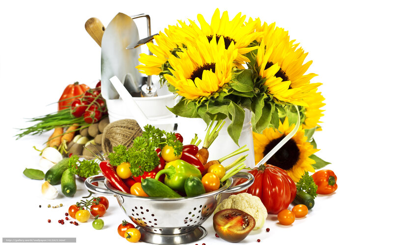 Fresh Vegetables and Sunflowers — Yellow, Vibrant