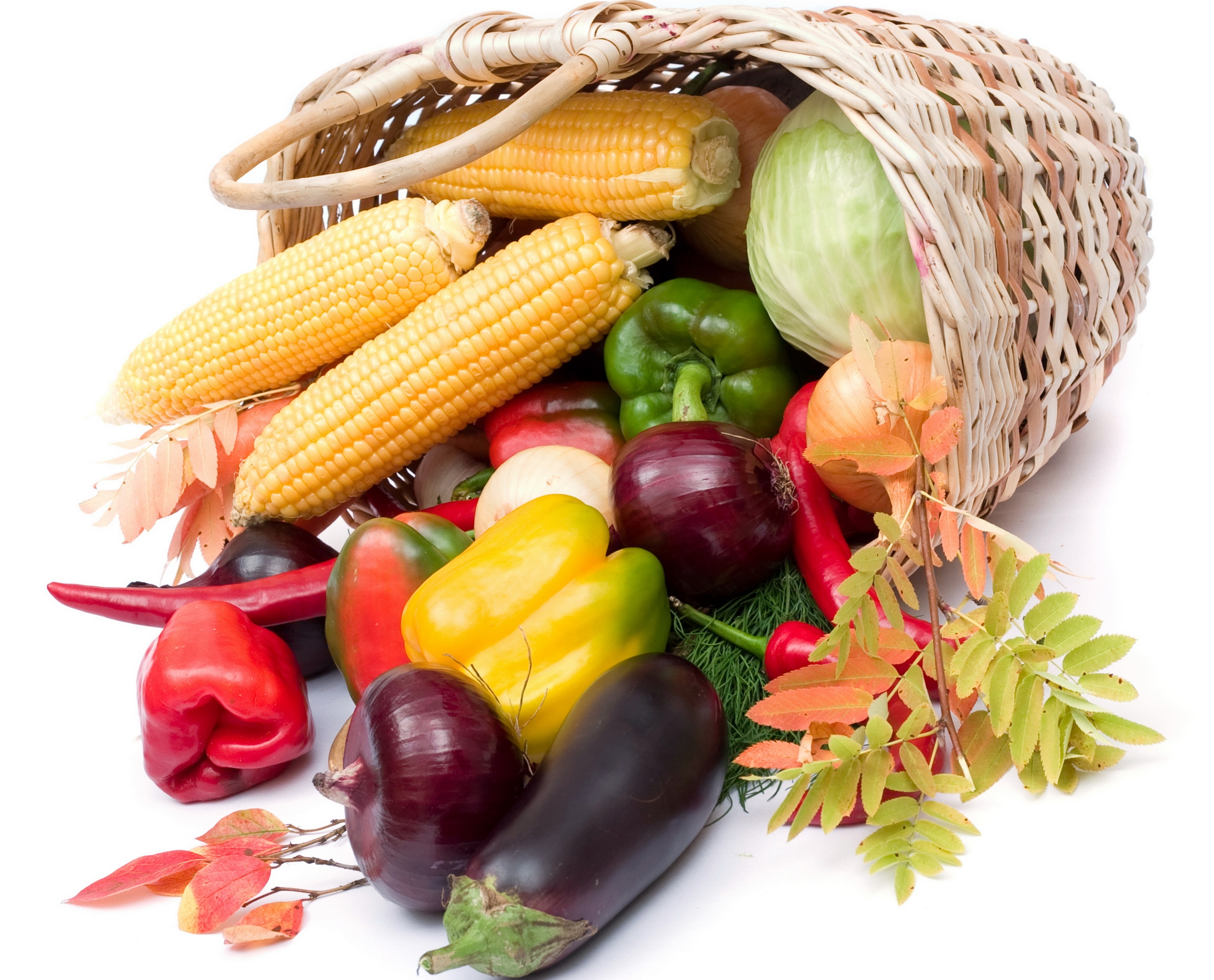 Fresh vegetables in a basket
