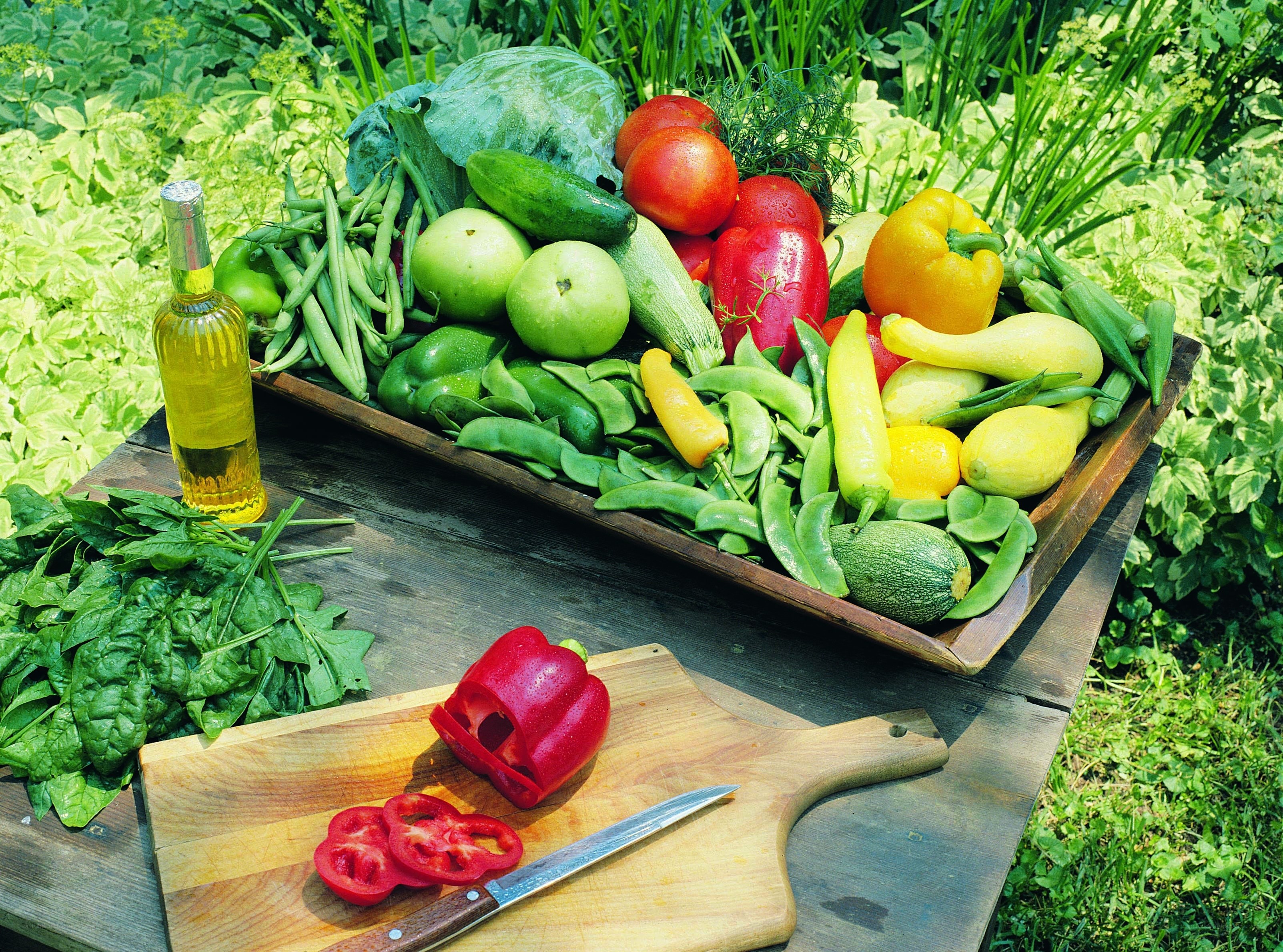 Fresh vegetables in garden