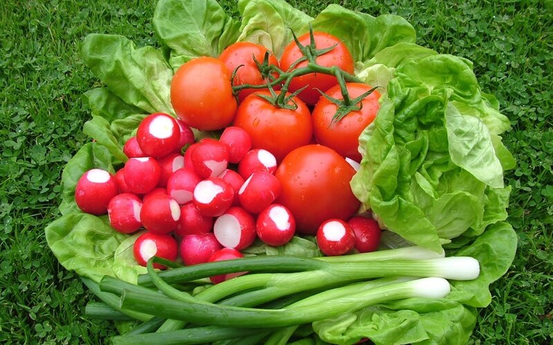 Fresh vegetables on grass