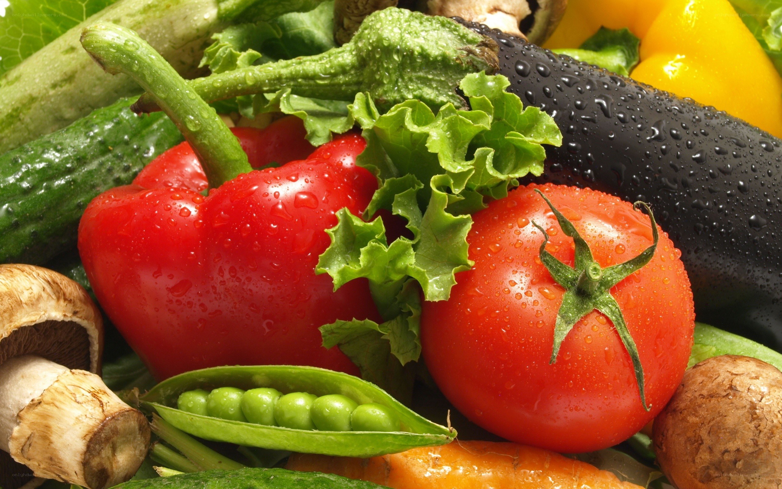 fresh vegetables with water droplets