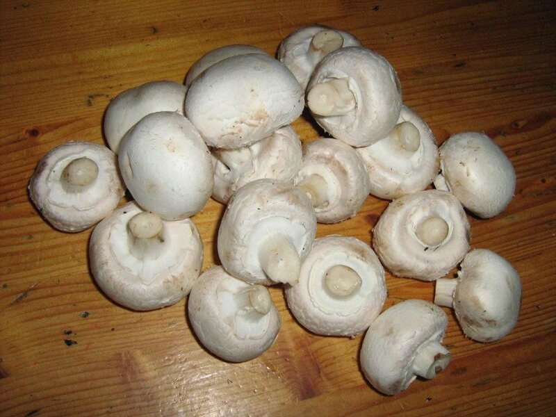 Fresh white mushrooms on wood