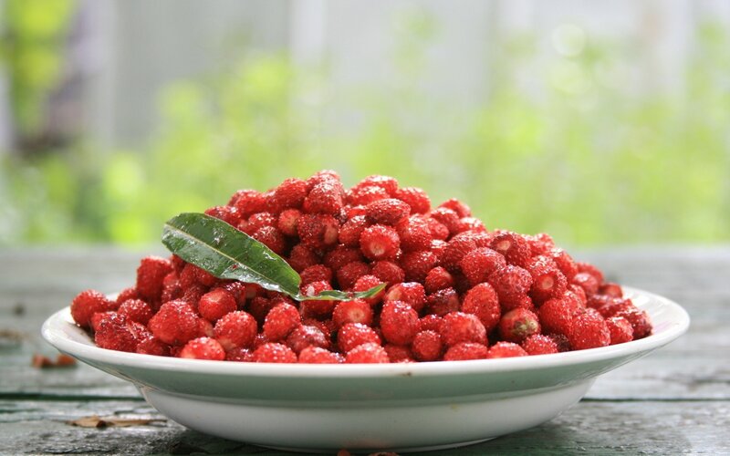 Fresh wild strawberries in a bowl