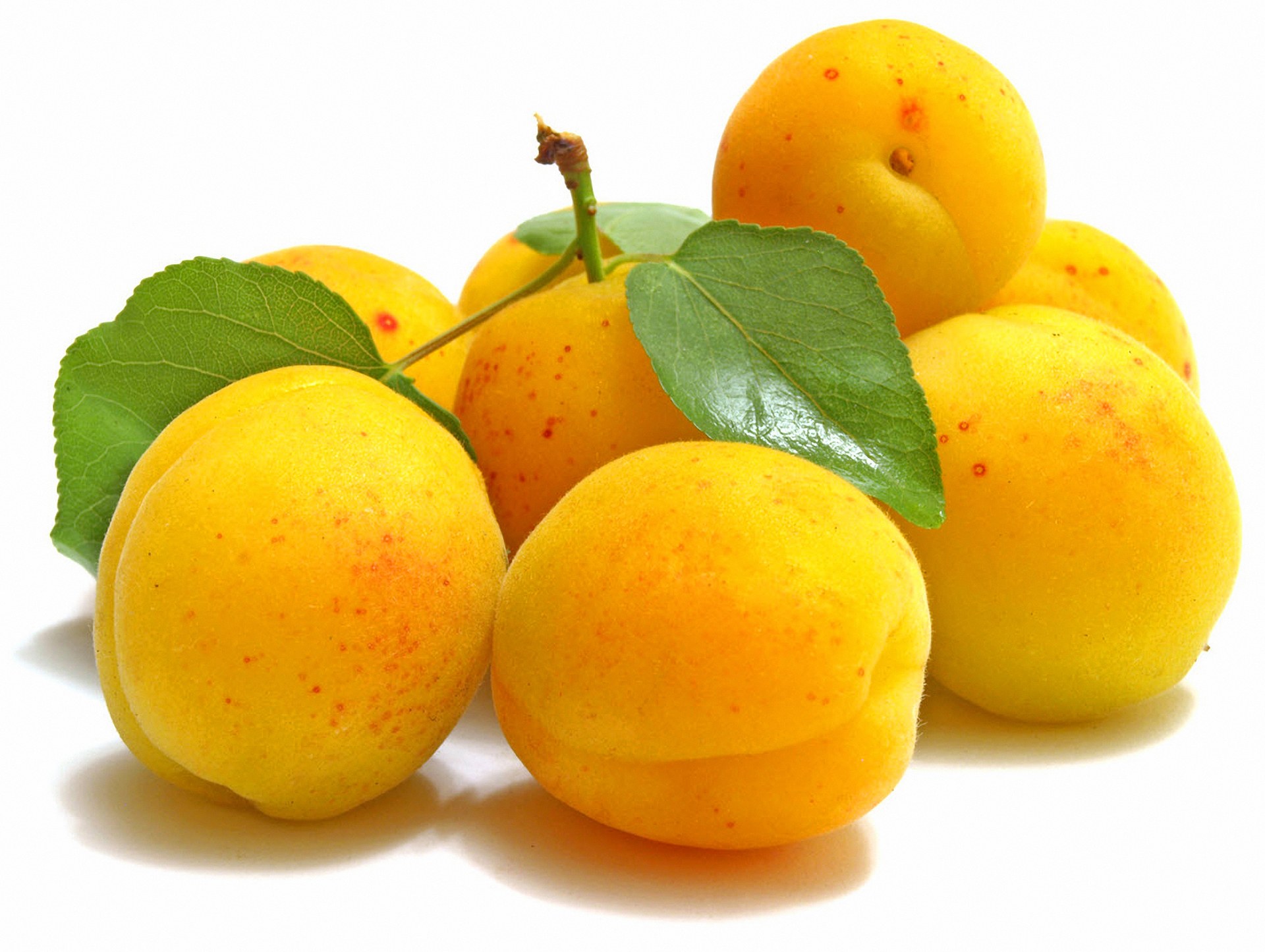 Fresh yellow apricots with leaves