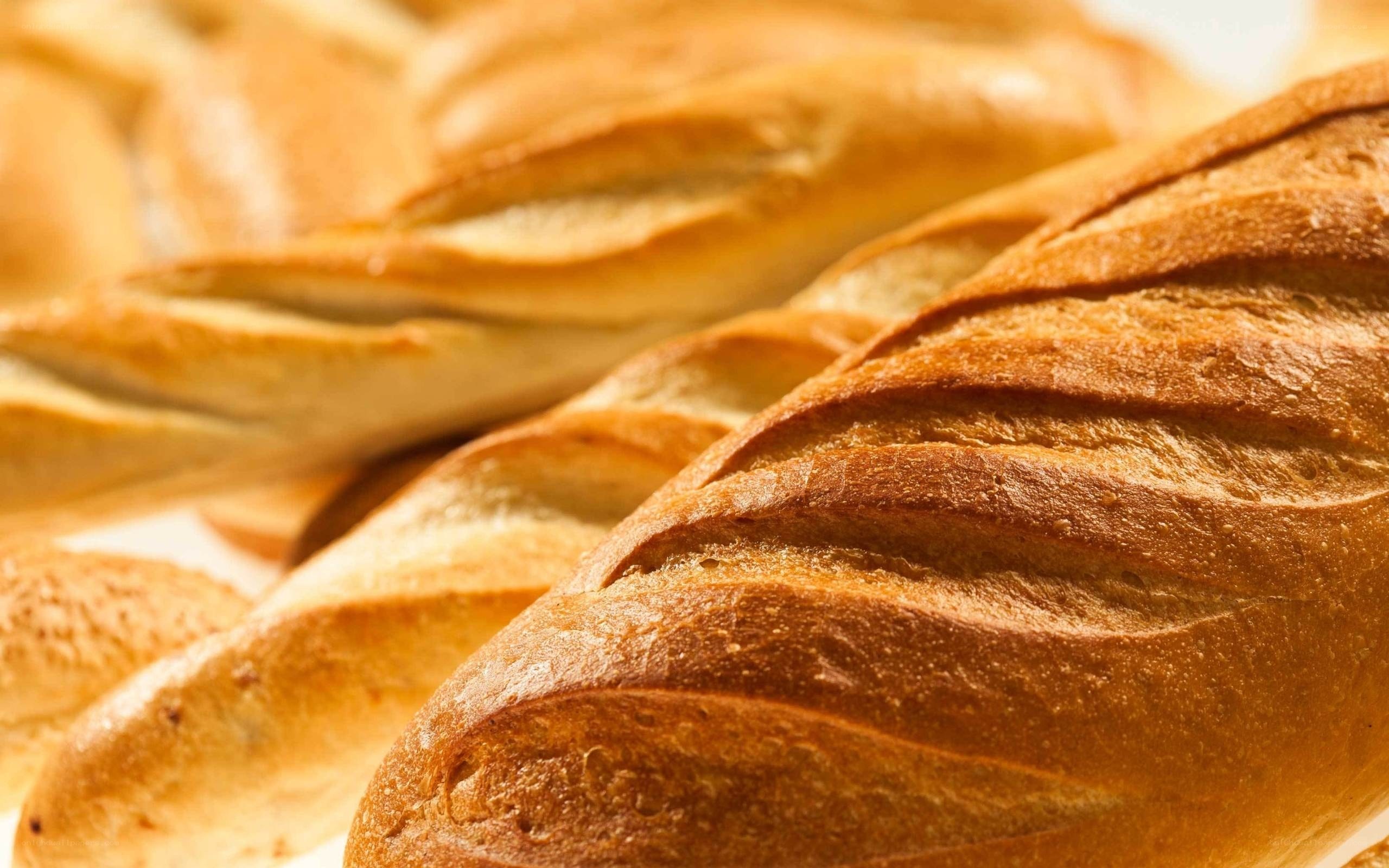 Freshly baked baguettes
