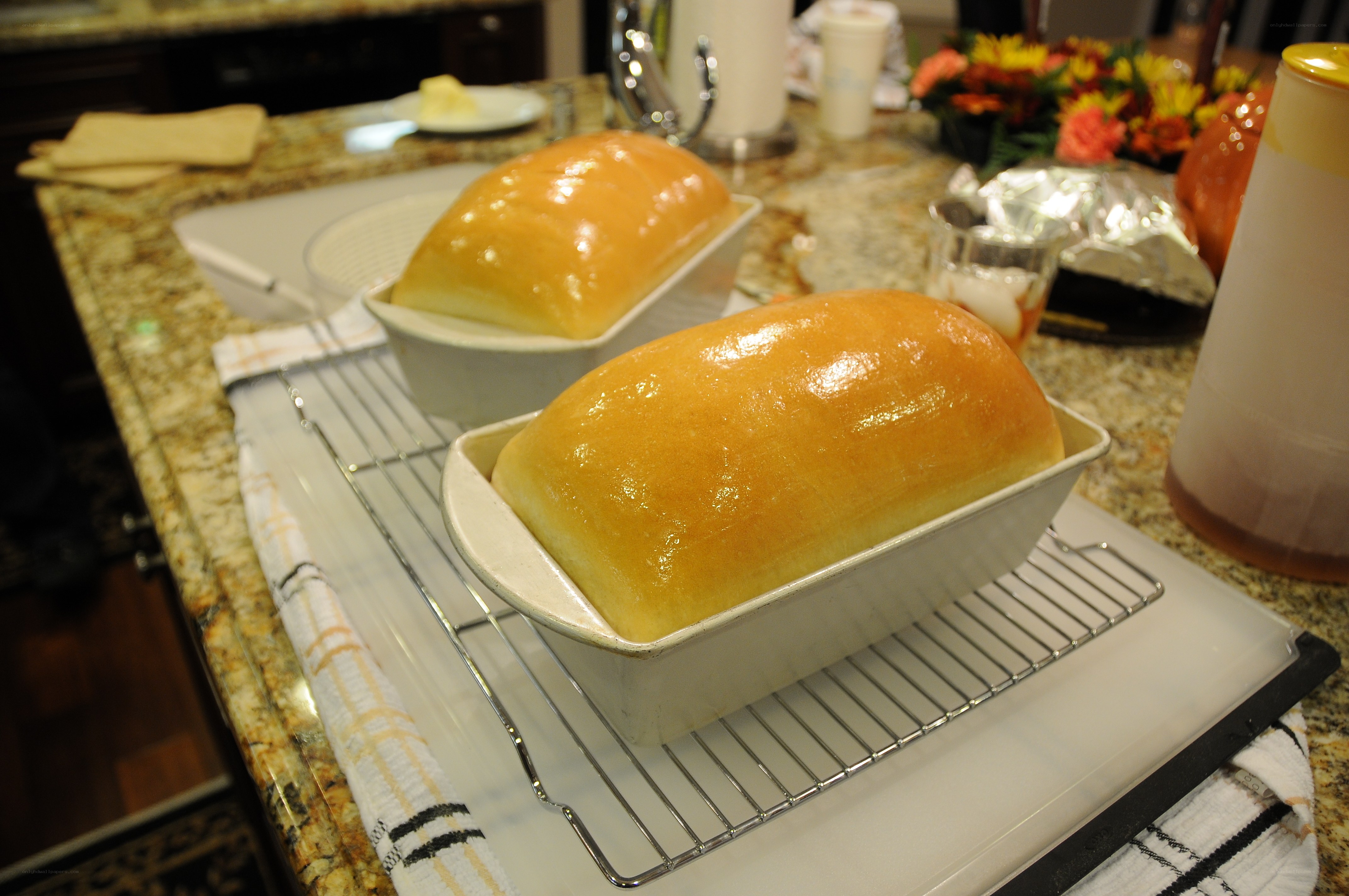 Freshly baked bread loaves cooling