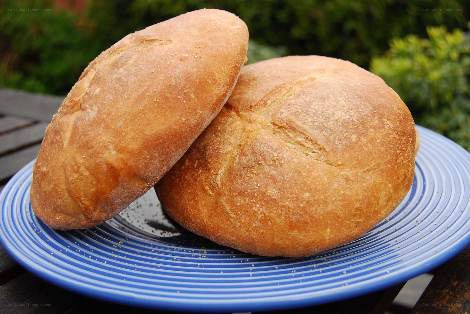 Freshly baked bread rolls