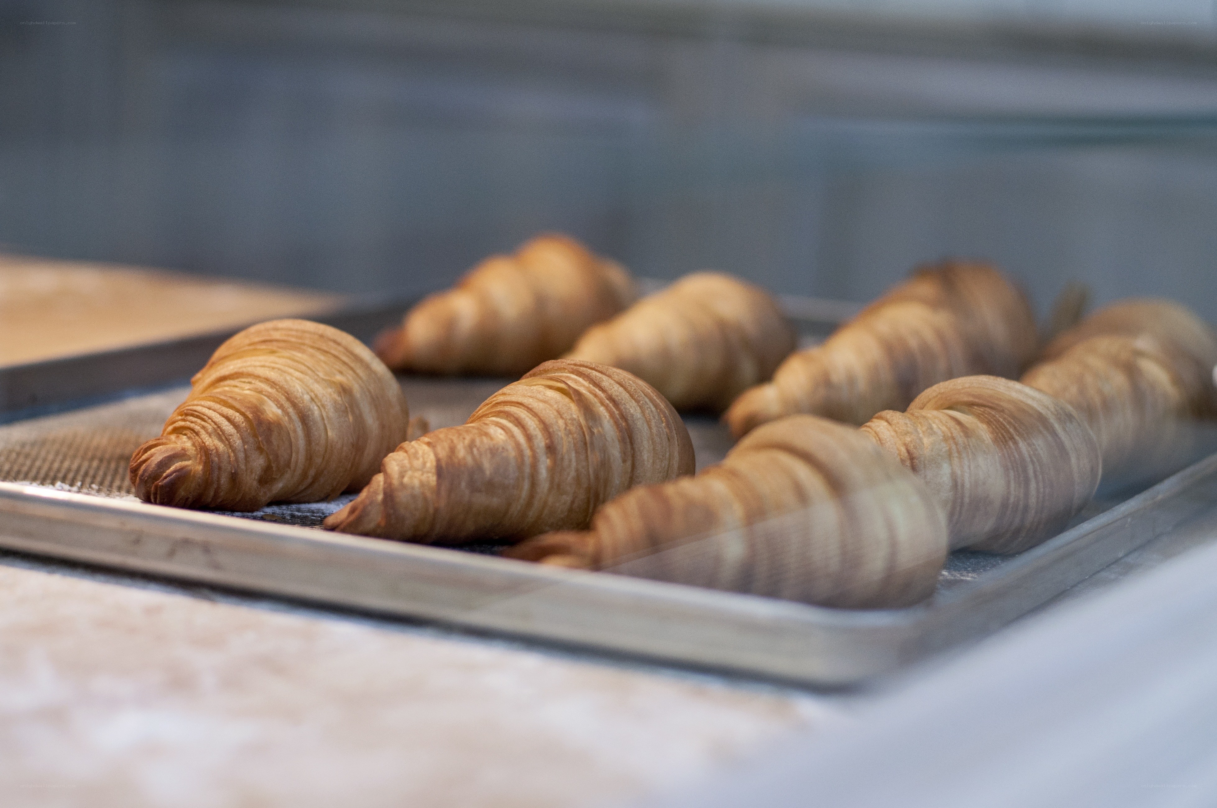 Freshly baked croissants on tray