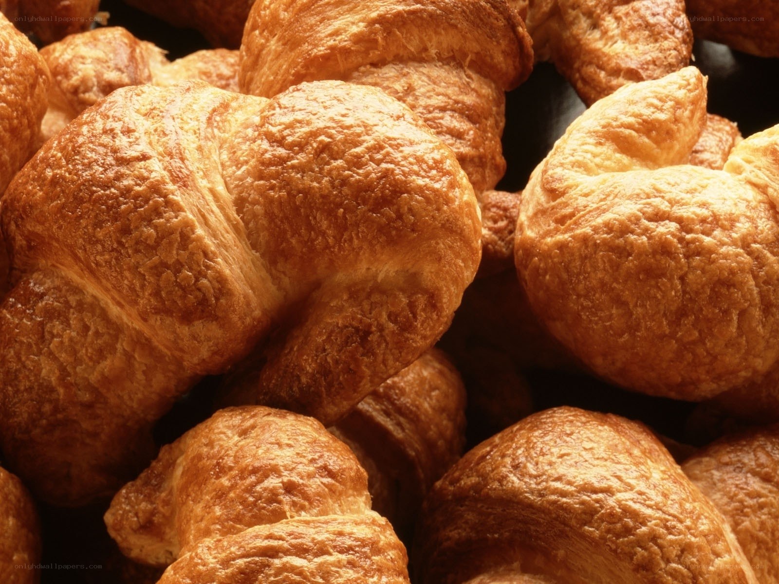 Freshly baked croissants