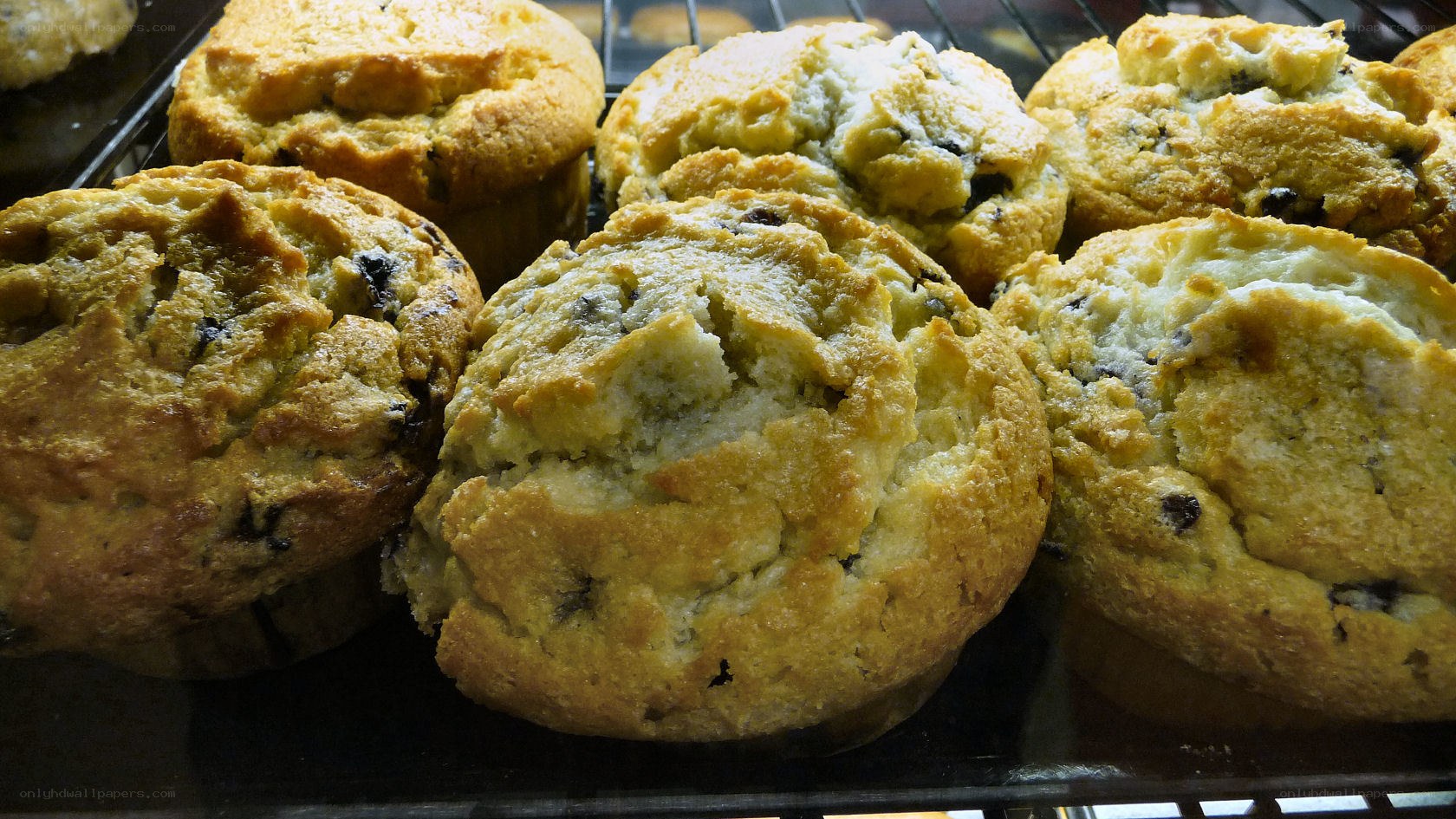 Freshly baked muffins on a rack