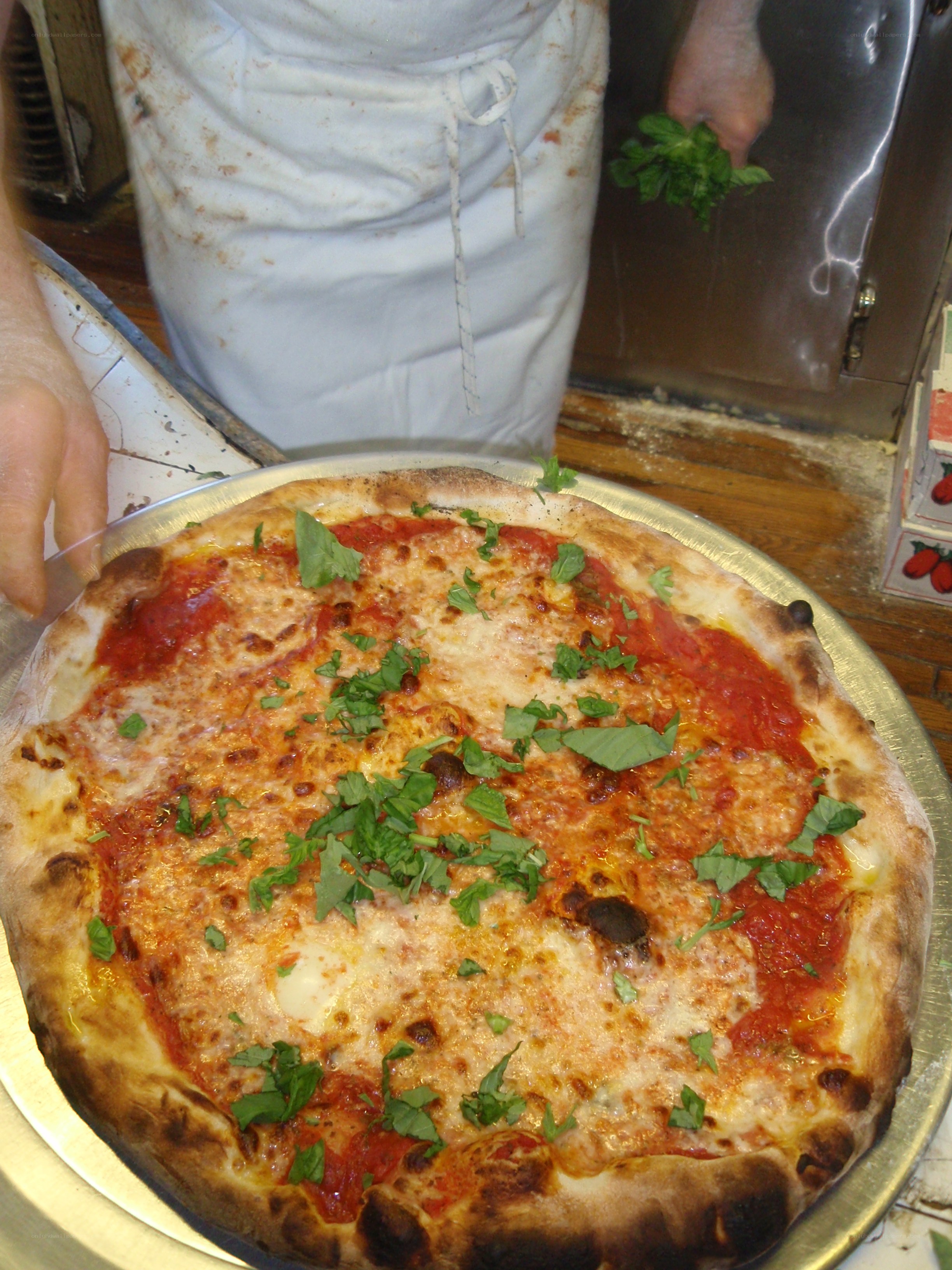 Freshly baked pizza with basil