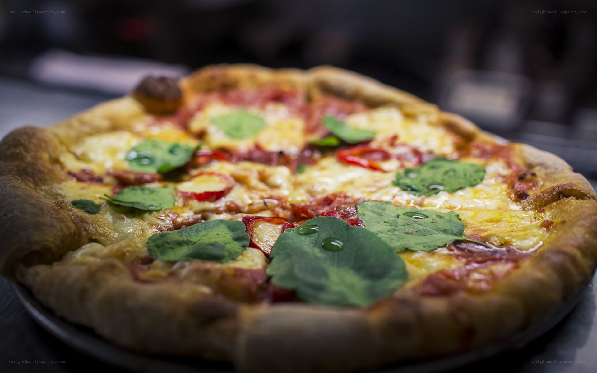 Freshly baked pizza with basil