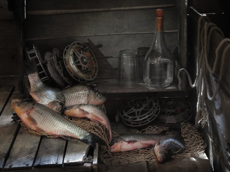 Freshly Caught Fish