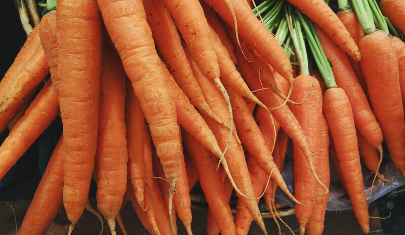 Freshly Harvested Carrots — Orange