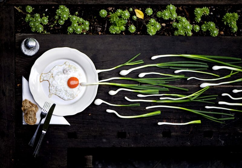 Fried egg and green onions
