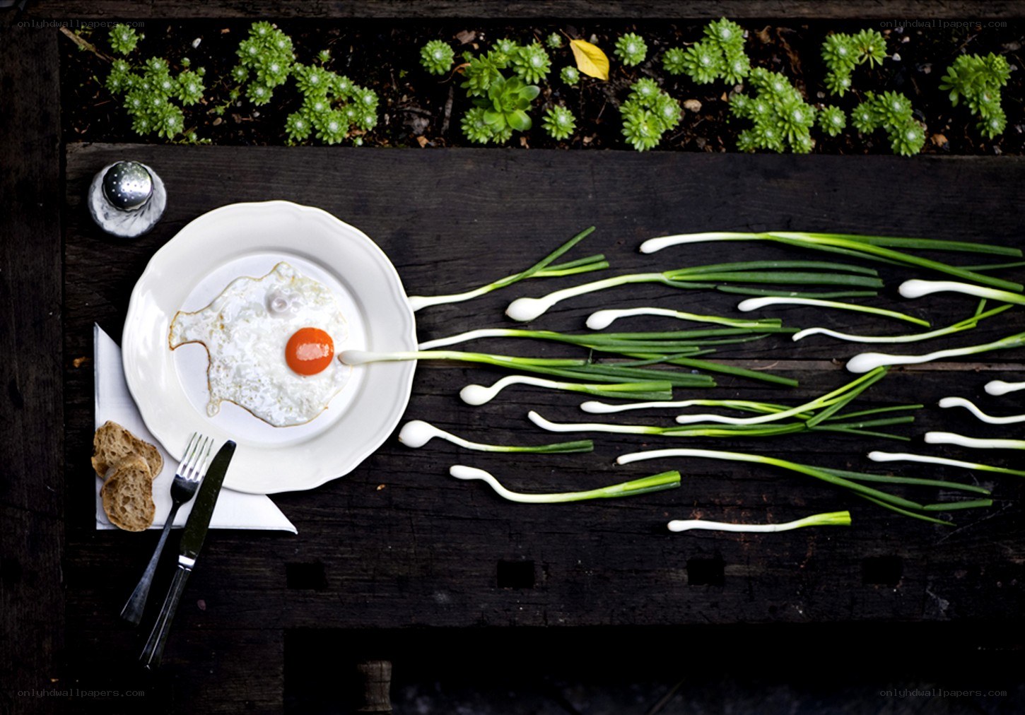 Fried egg and green onions