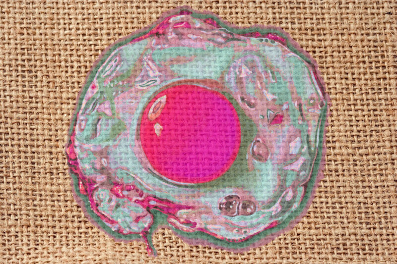 Fried Egg on Burlap