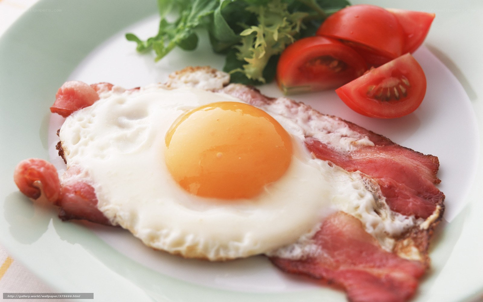 fried egg with bacon and tomatoes