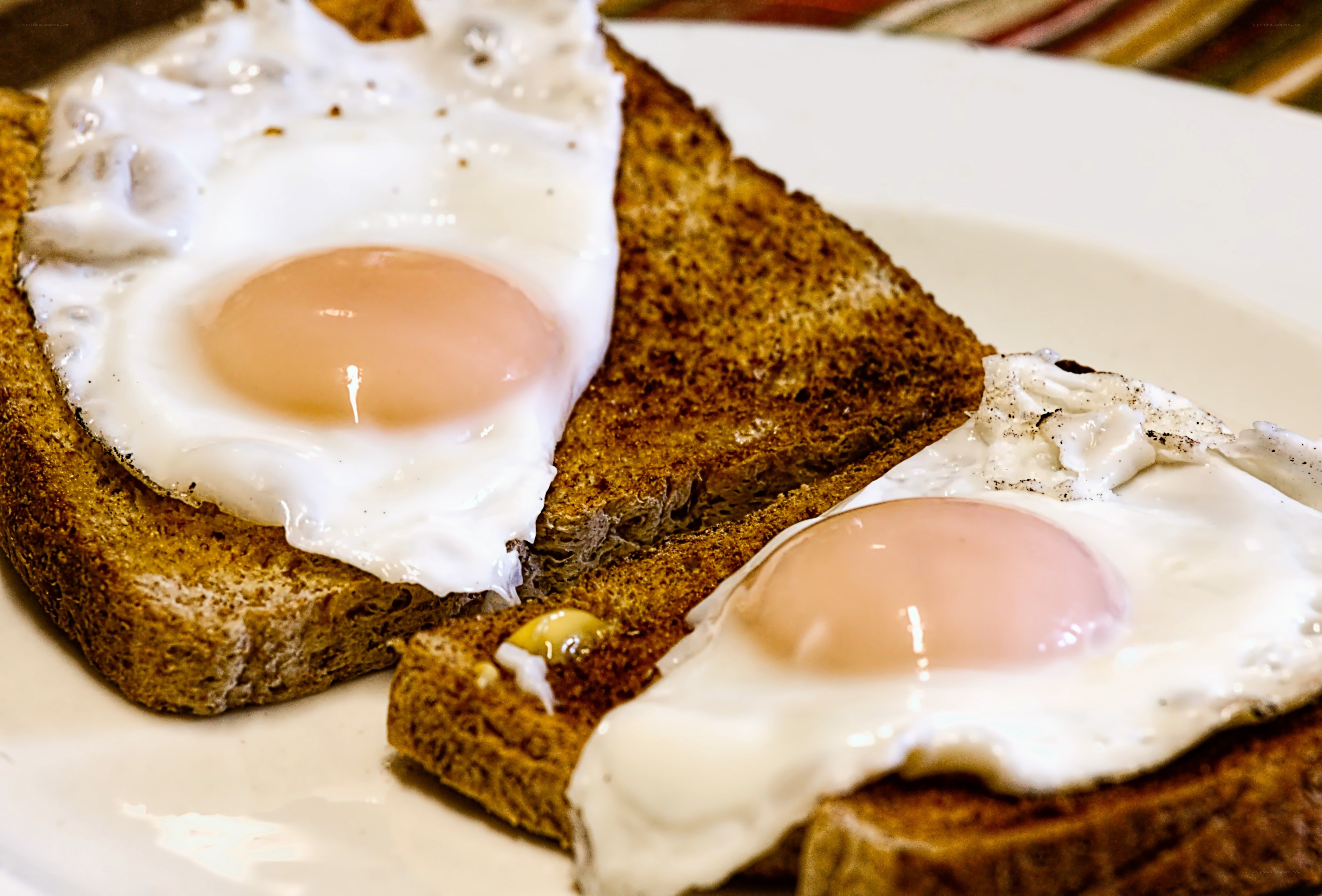 fried eggs on toast