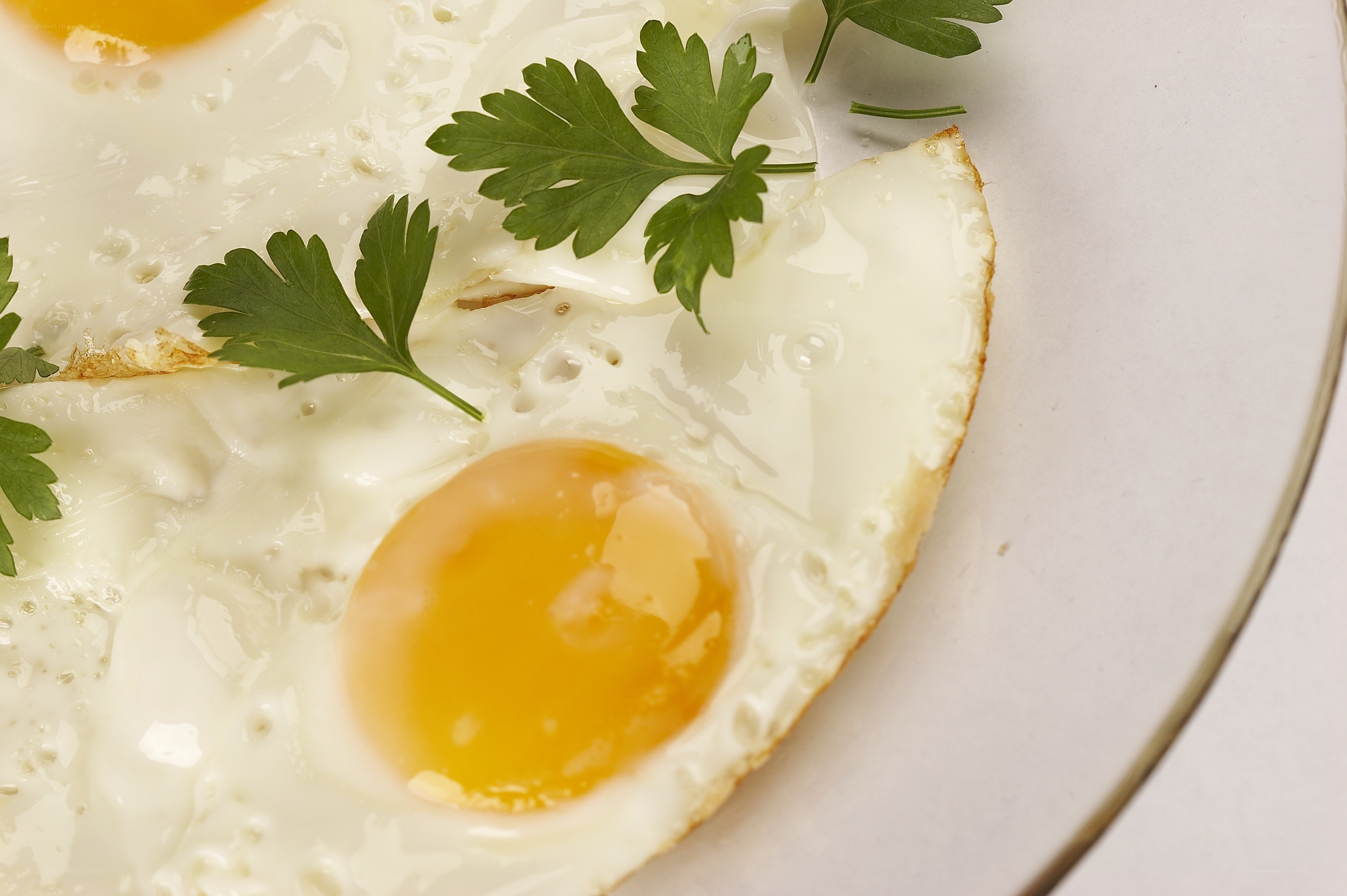fried eggs with parsley