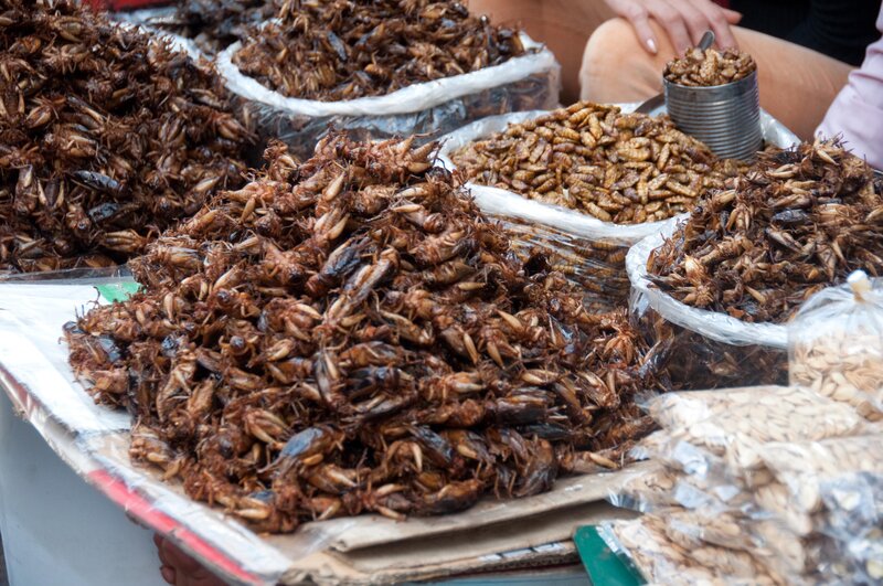 Fried Insects at Market