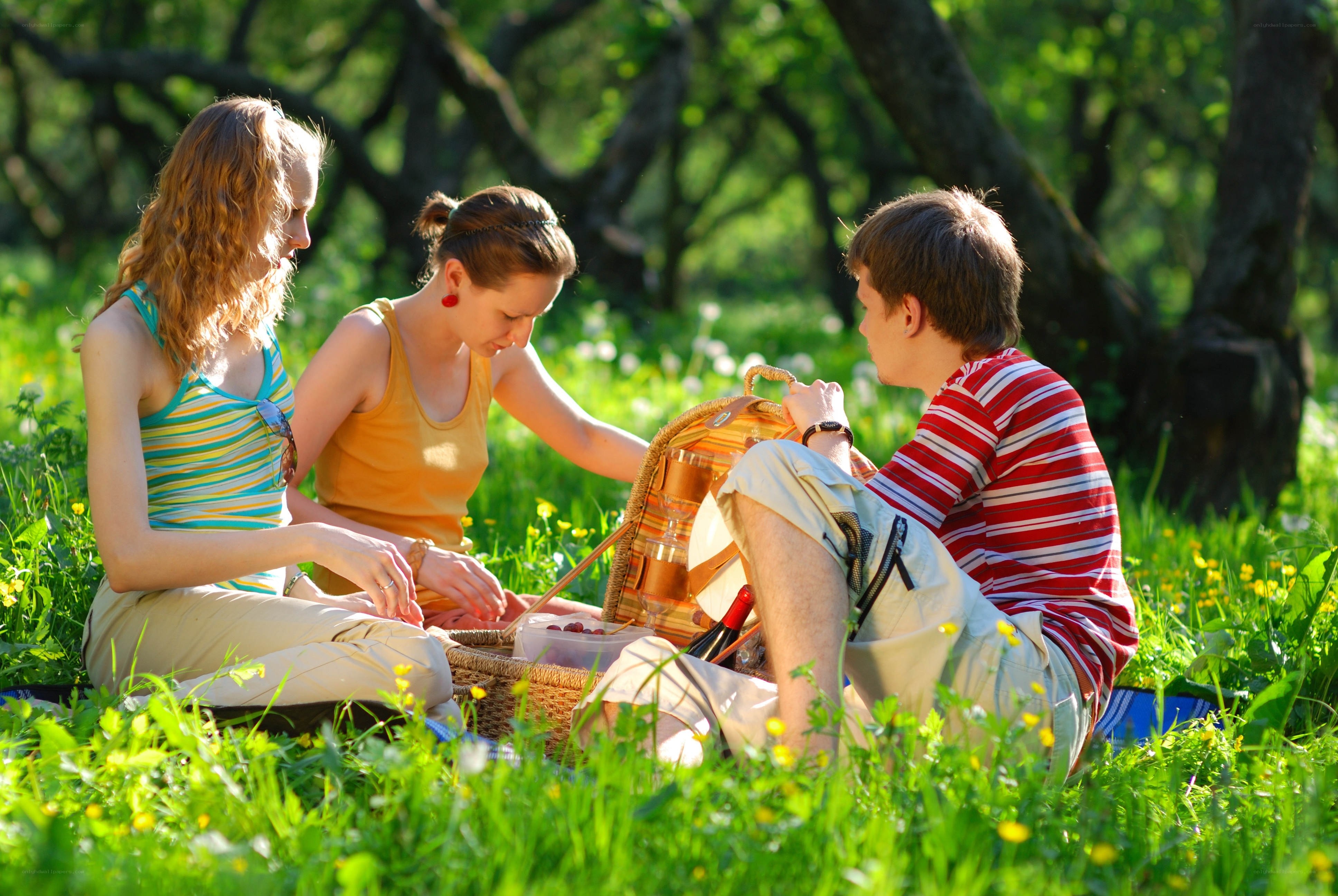 Friends having a picnic in the park