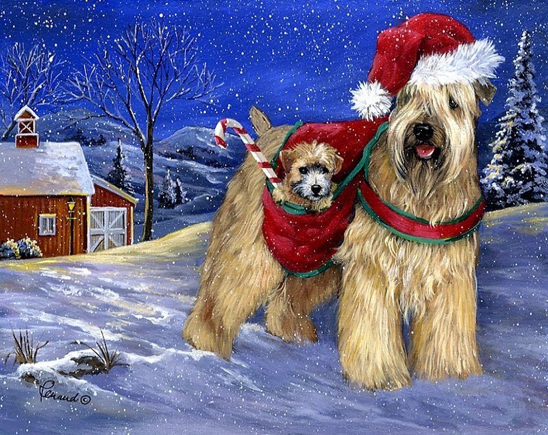 Friese Dog with Puppy