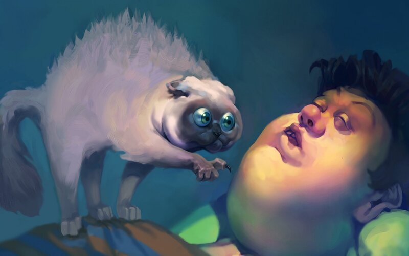 Frightened Cat and Sleeping Person