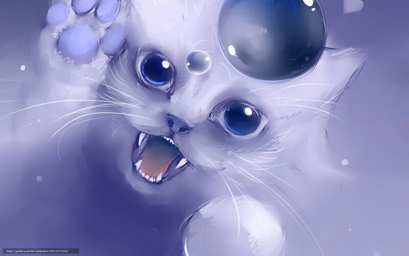 frightened white kitten