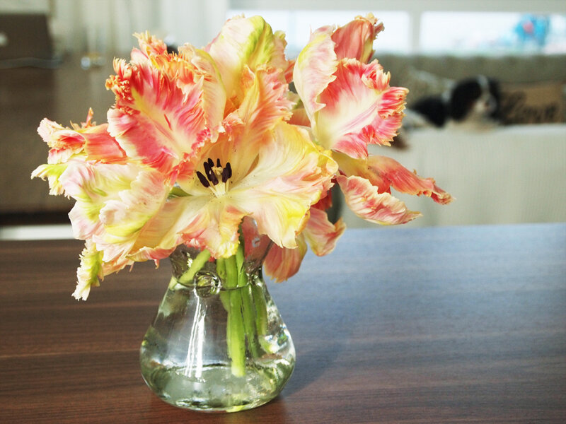 Frilly Tulips in Vase