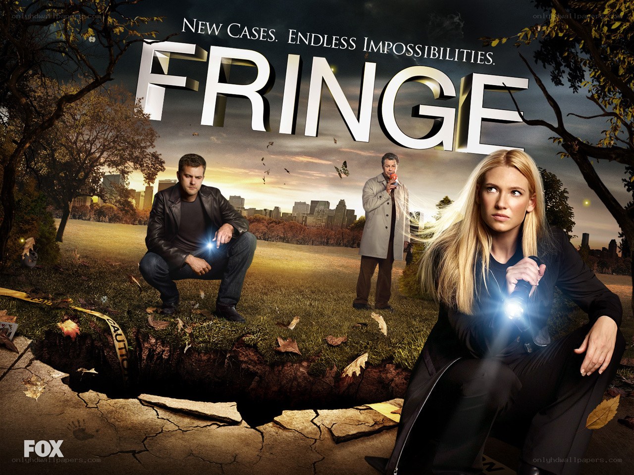 Fringe TV show poster