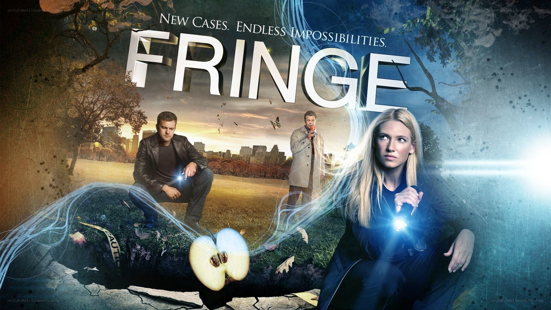 Fringe TV show poster