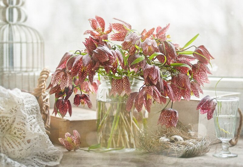 Fritillary Flowers in Vase
