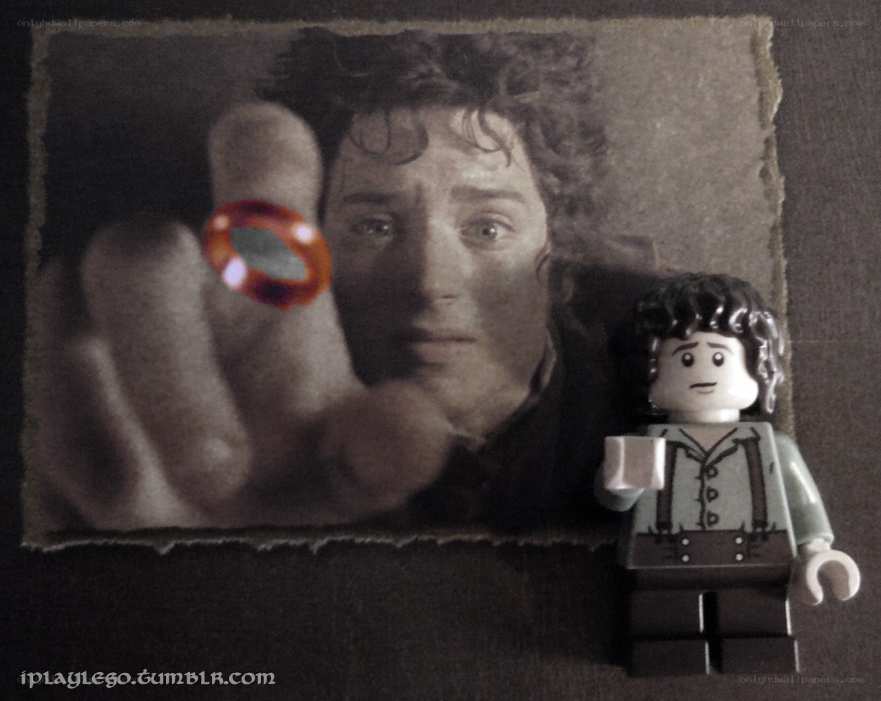 Frodo and the One Ring
