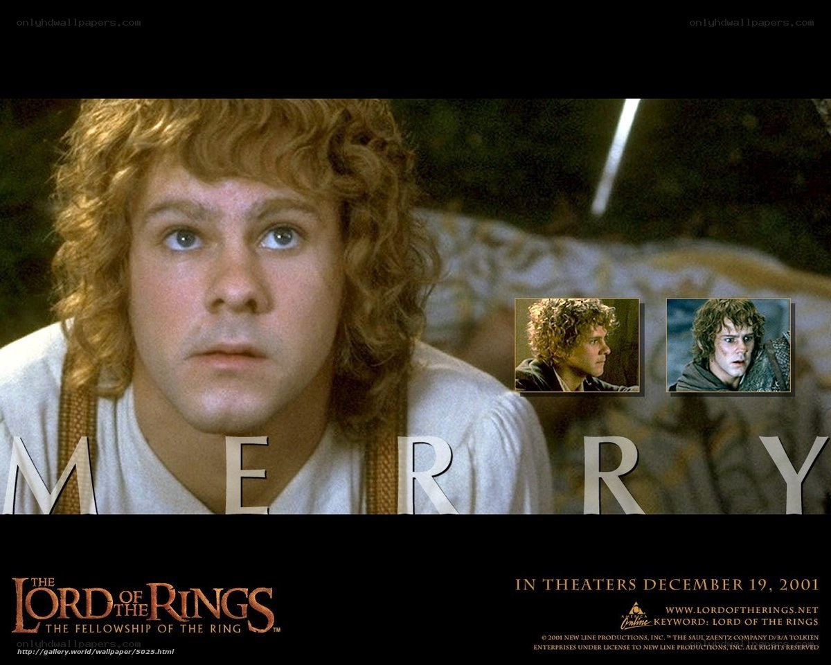 Frodo Baggins in Fellowship
