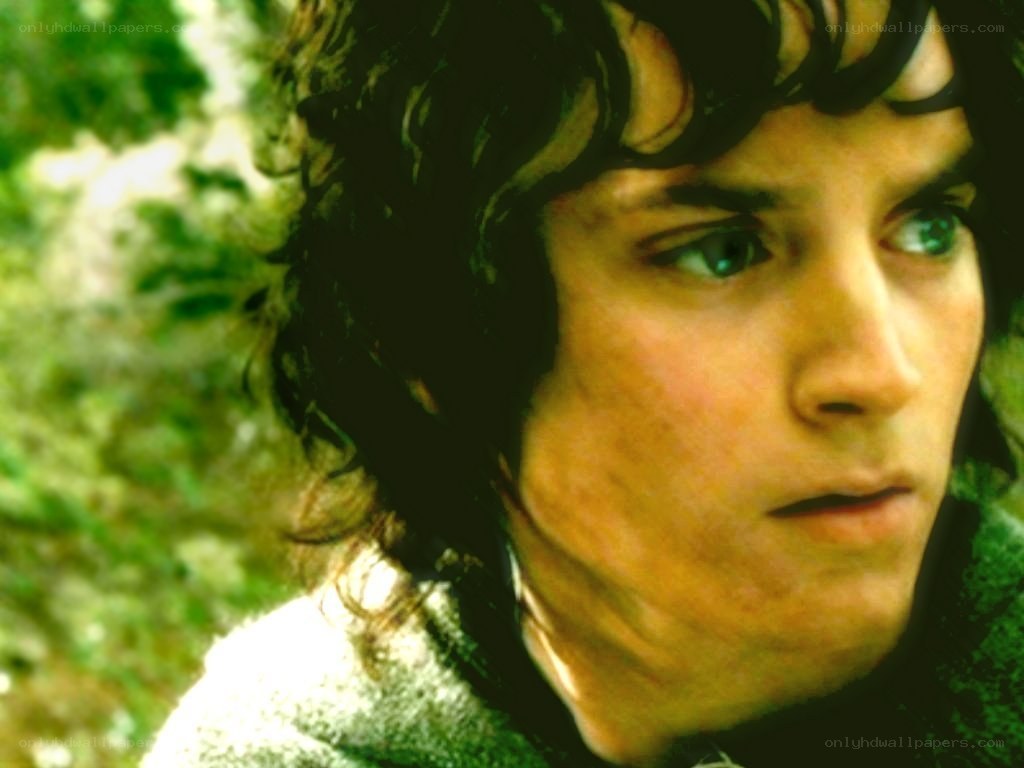 Frodo Baggins in the Shire