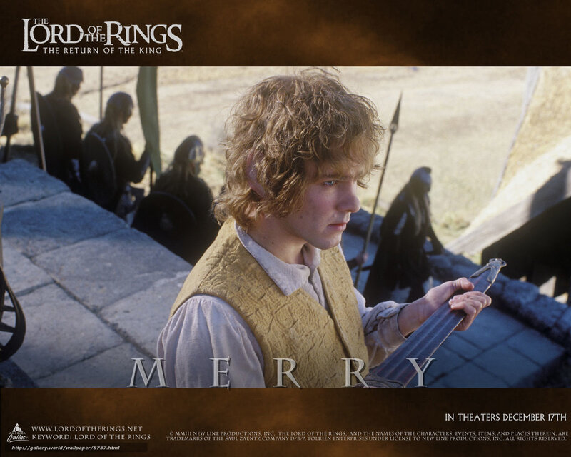 Frodo in the Lord of the Rings
