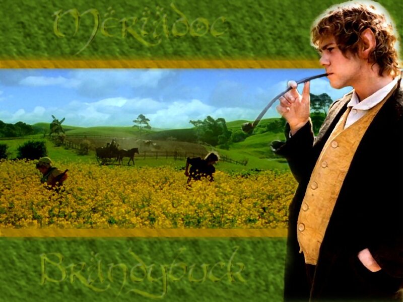 Frodo in the Shire
