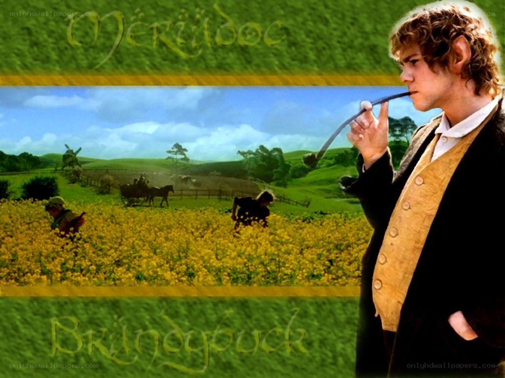 Frodo in the Shire