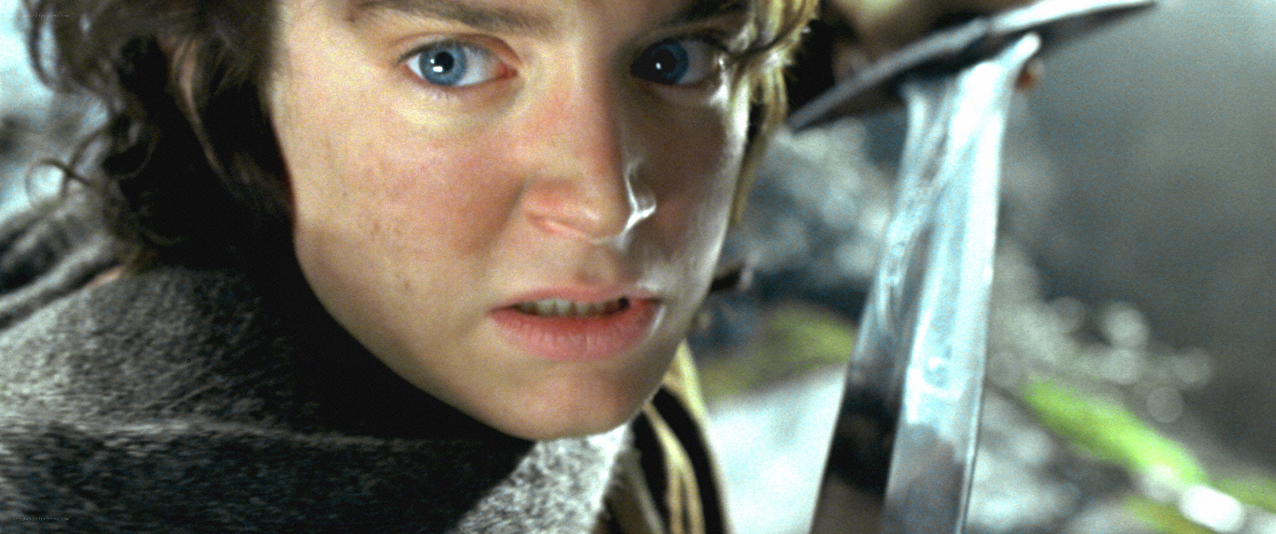 Frodo with sword in hand