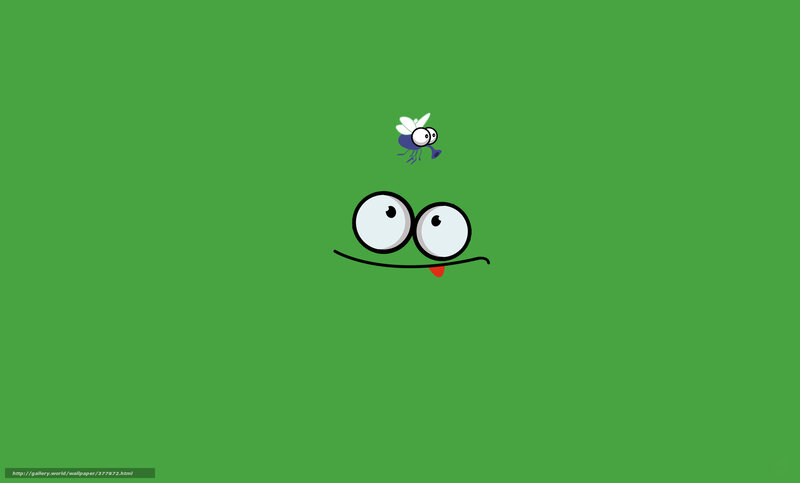 Frog and Fly Cartoon — Green