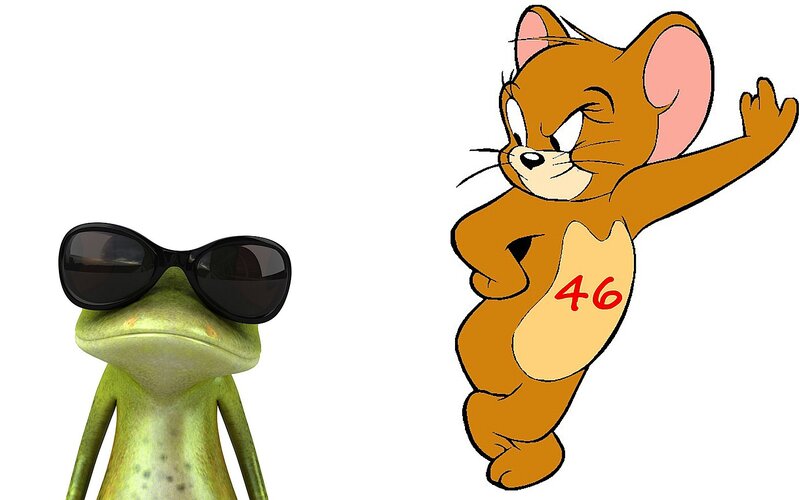 Frog and Mouse Characters
