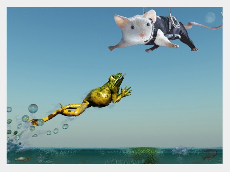 Frog and Mouse in Water