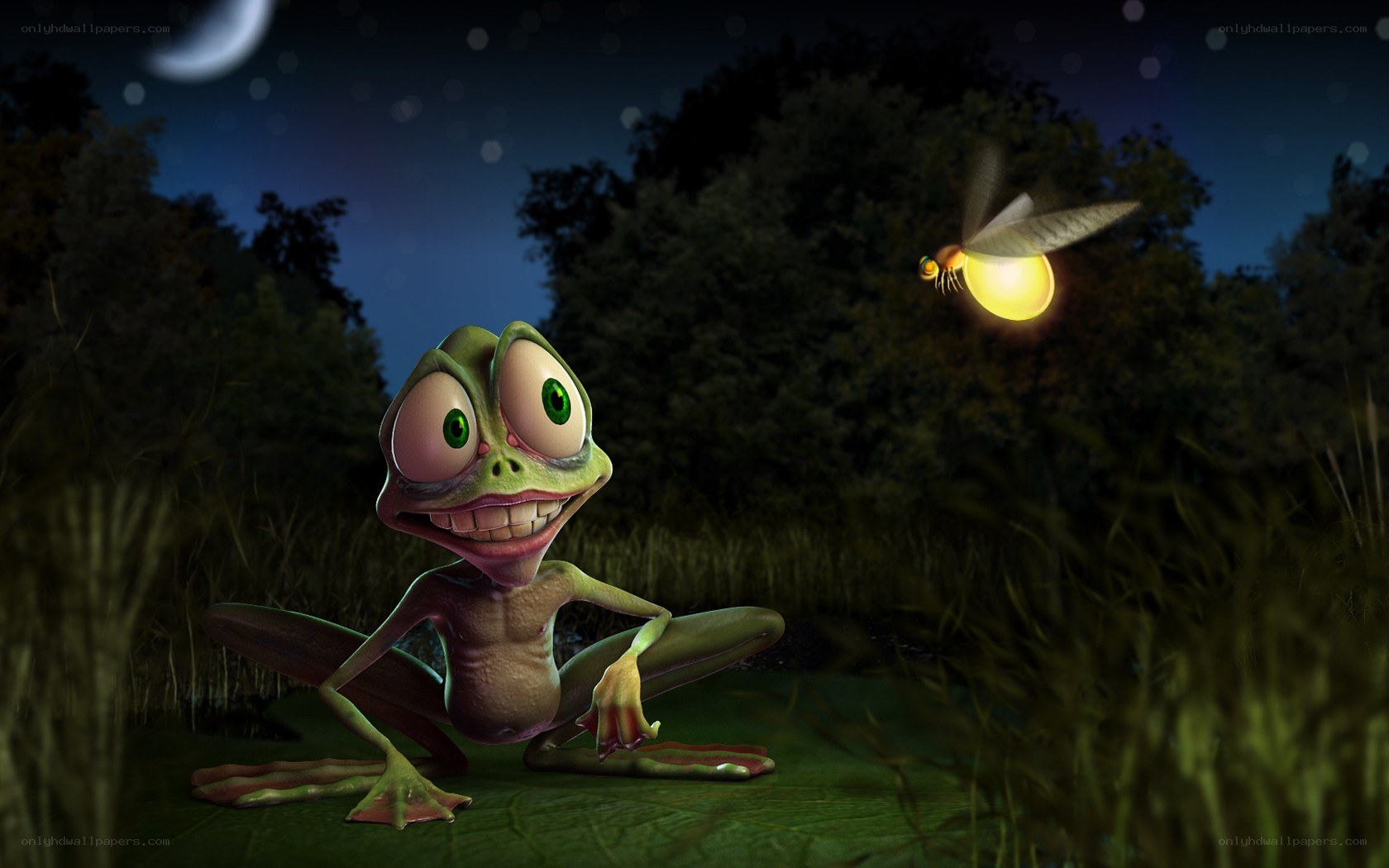 frog chasing firefly at night