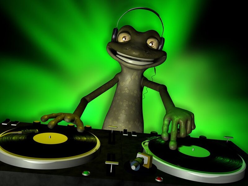 Frog Dj at Turntables