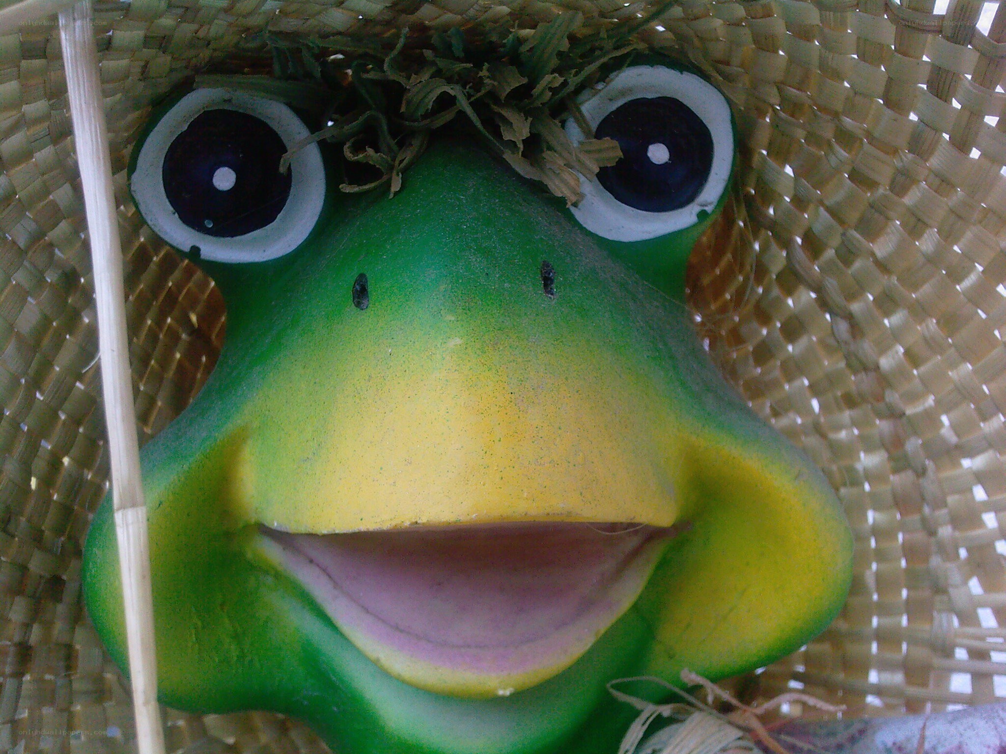 frog face in woven basket