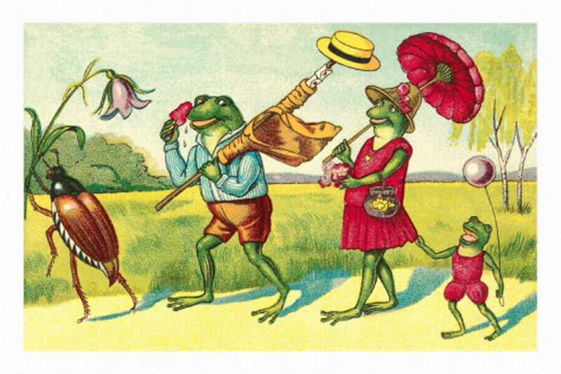 Frog Family Walking