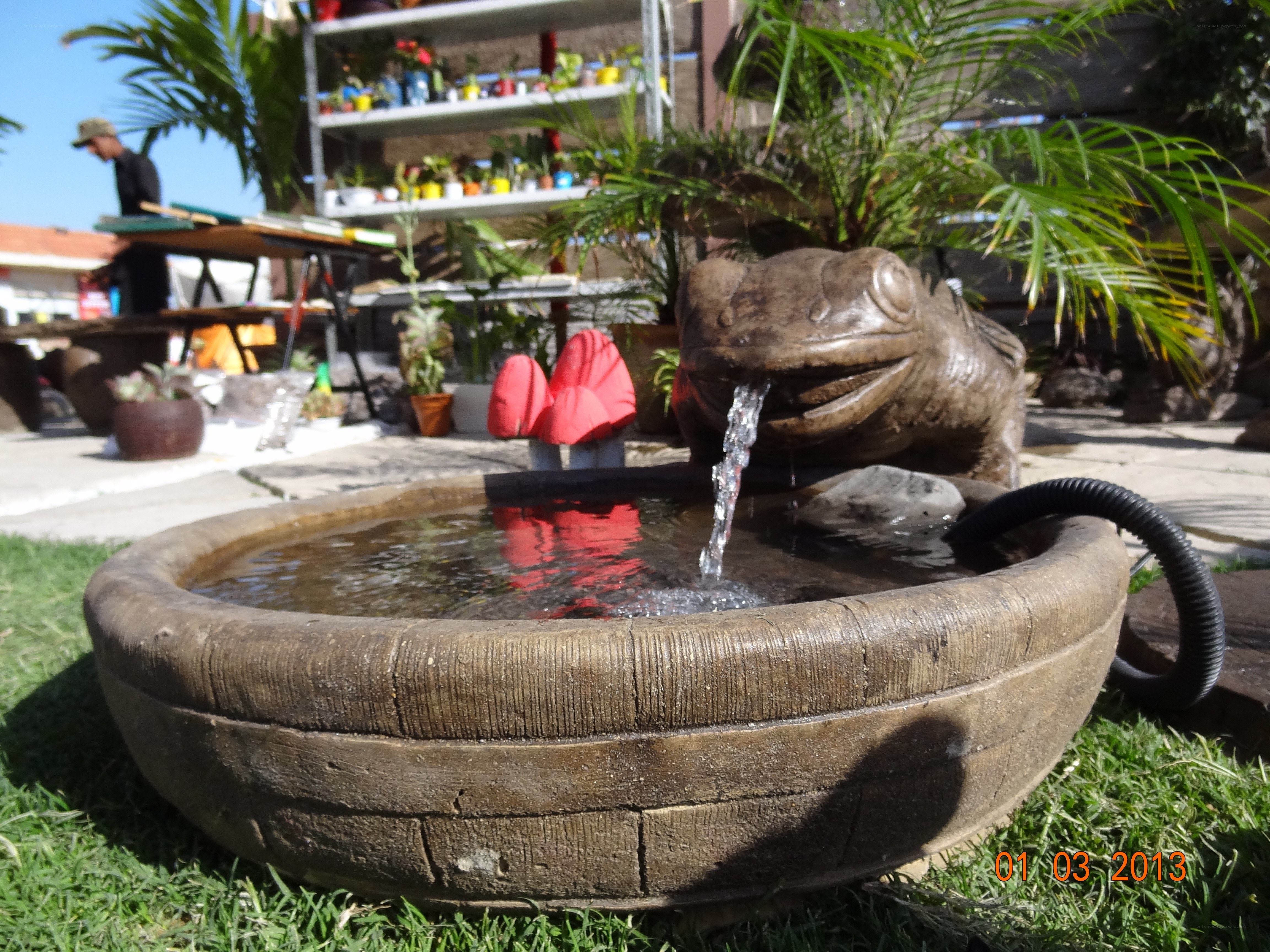 frog fountain in garden